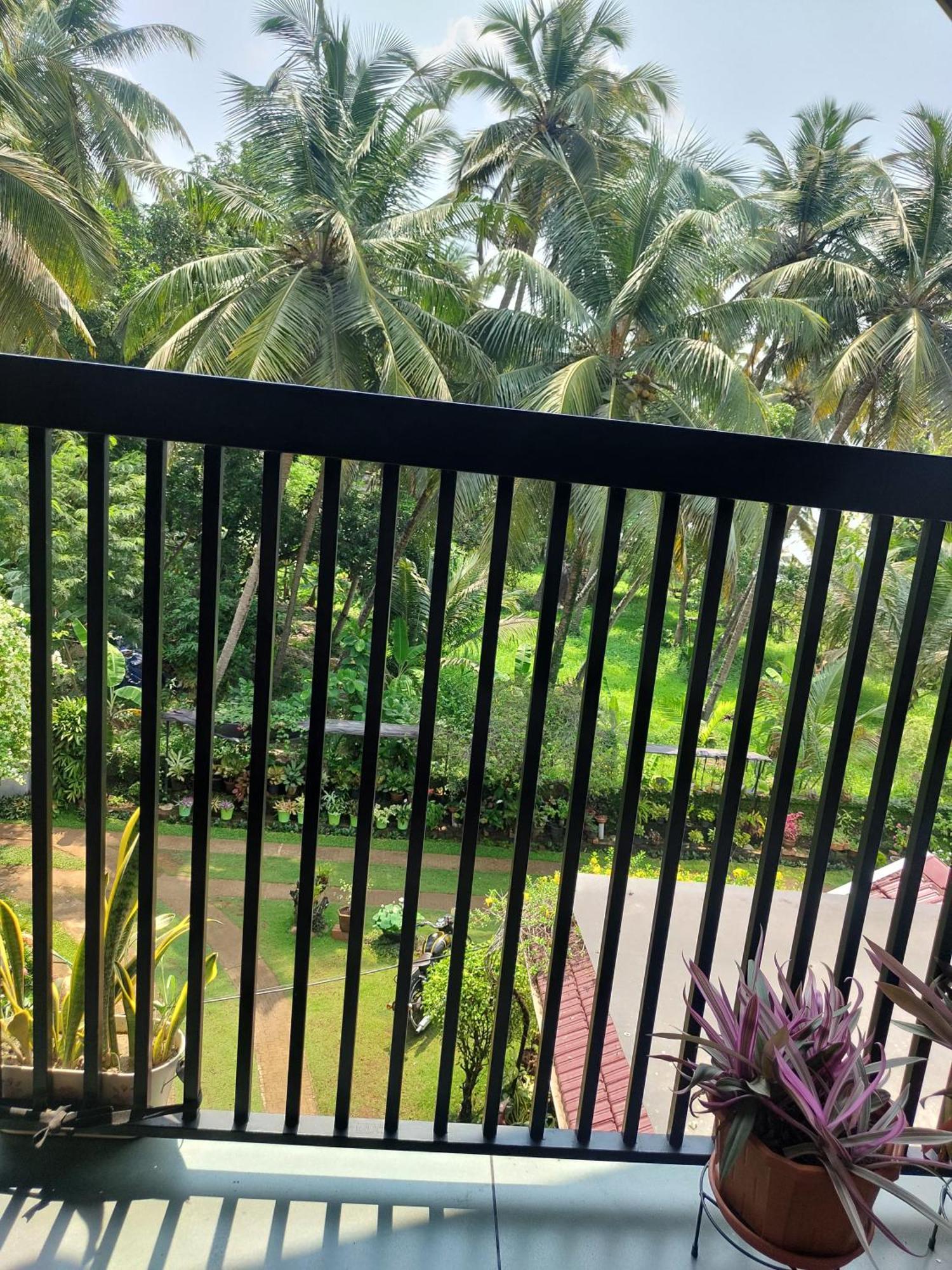 Maleyam Homestay Riverside Kozhikode Luaran gambar